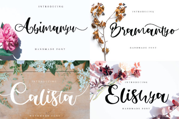 Abimanyu: The Exquisite Handwritten Font for Modern Web Design