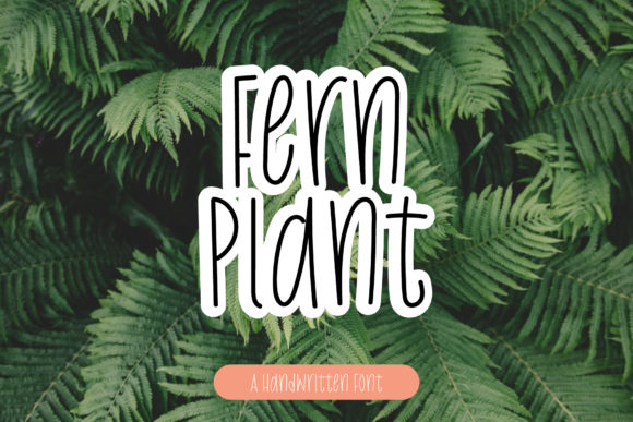 Fern Plant: A Sweet Handwritten Font for Editorial Design