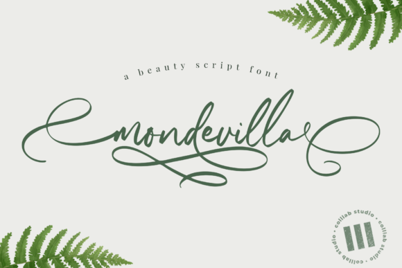 Mondevilla: A Script Handwritten Typeface for Elegant Editorial Design