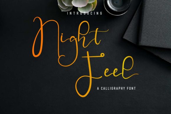 Night Feel: The Delicate Script Handwritten Font for Elegant Campaigns