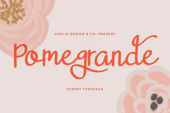 Pomegrande: A Delicate Handwritten Typeface for Modern Branding