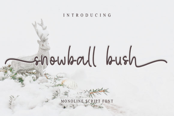 Snowball Bush: The Elegant Handwritten Font for Creative Brands