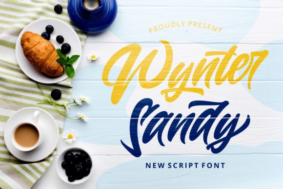 Wynter Sandy Font Review for Elegant Campaign Design